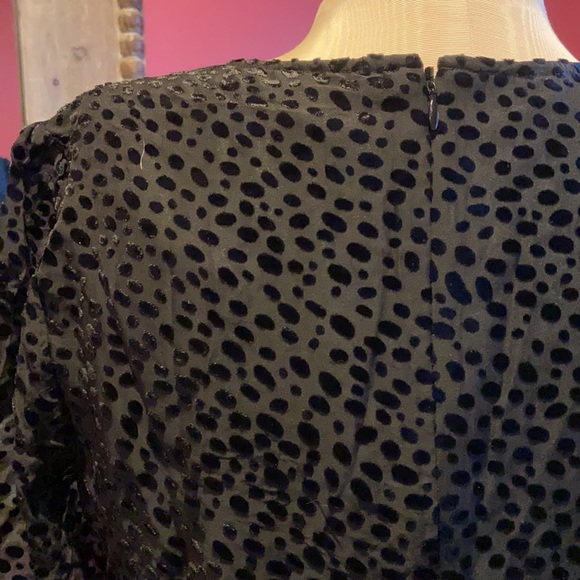 Boden Dalmatian Print Velvet Burnout Dolores Black Dress 6 - Picture 12 of 15